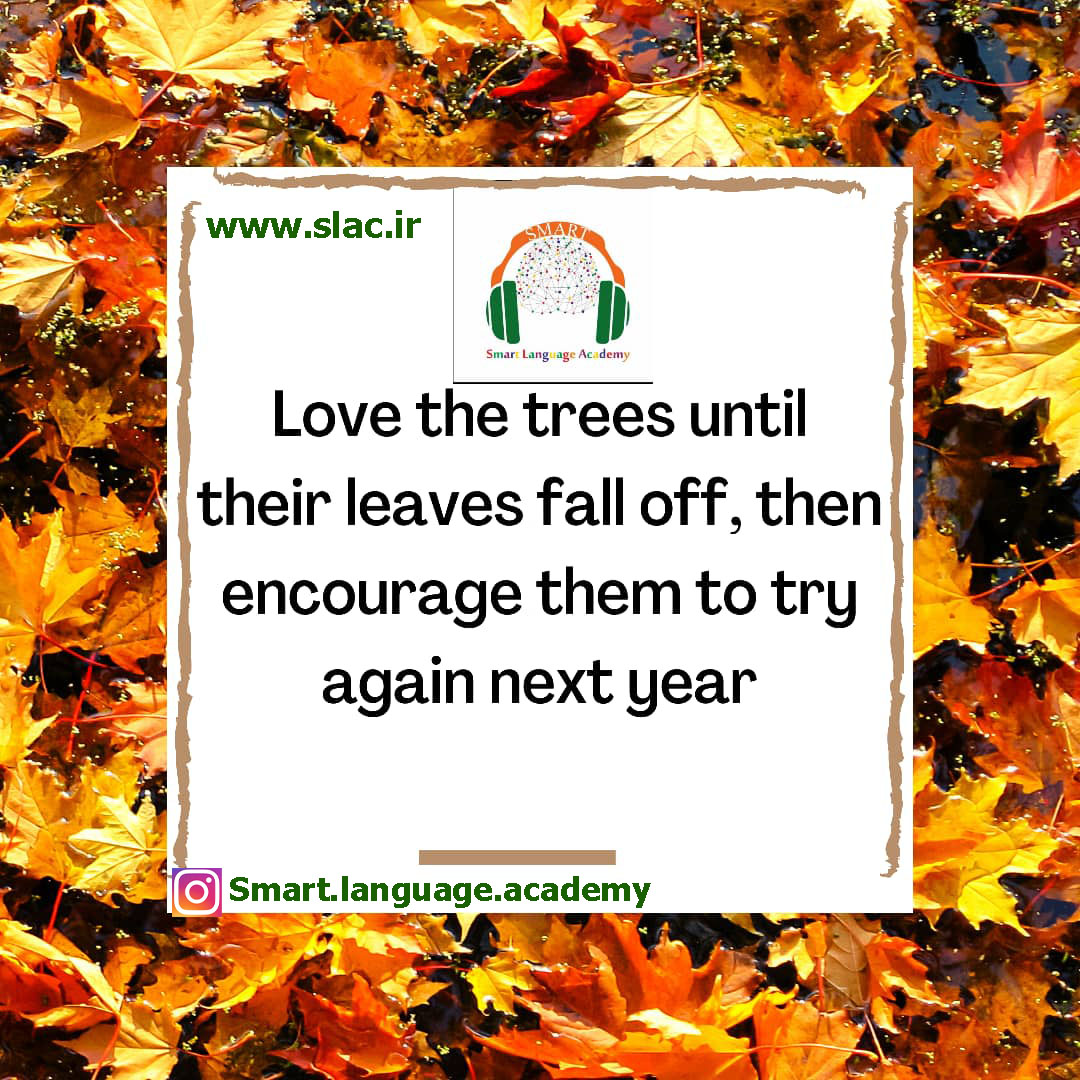 Love the trees until their leaves fall off,then encourage them to try again next year